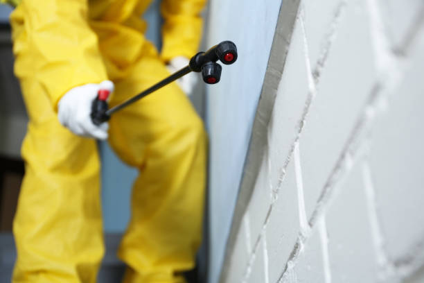 Emergency Pest Control in Linden, NJ